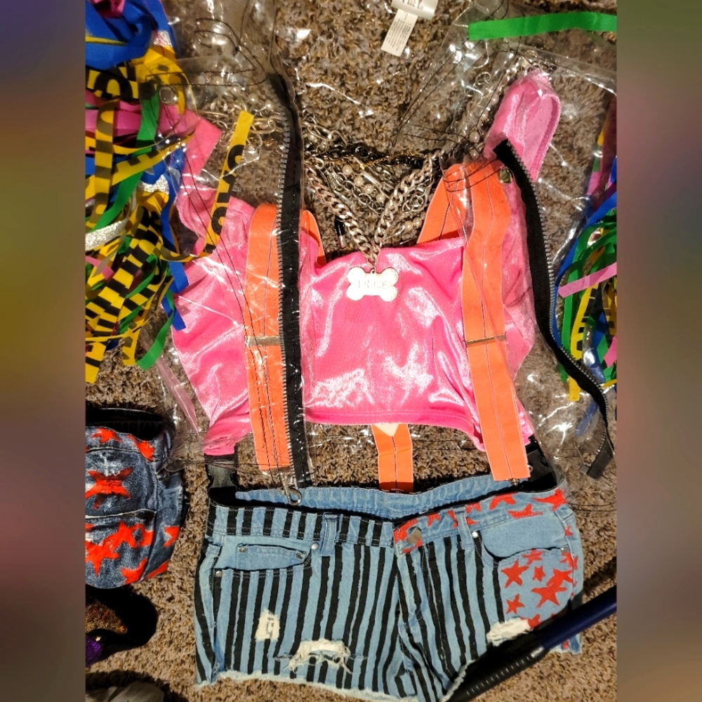 Harley Quinn Halloween Costume Gem